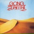 Gong