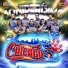 Chicago 5