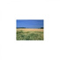 Mindfulness Healing BGM Project