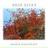 Deep.Sleep