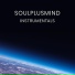 Soulplusmind