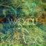 Wadadli