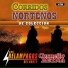 Los Relampagos Del Norte, Cornelio Reyna