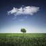 The Sleep Helpers, Rain Recorders, Yoga Tribe