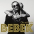Zeljko Bebek