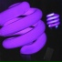 Biga