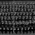 Cloning Disaster