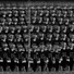 Cloning Disaster
