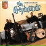 The Greyhounds