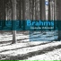 Johannes Brahms