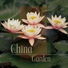 Chinese Yang Qin Relaxation Man