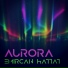 Emircan Hattat