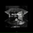 Vily Vinilo