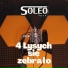 SoLeo