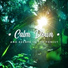 Relaxation Music Guru