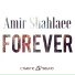 Amir Shahlaee