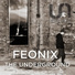 Feonix
