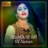 Dil Nasheen