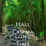 Hall Camma