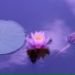 Energy Healer