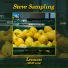 Steve Sampling