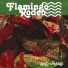 Flamingo Rodeo