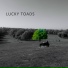 Lucky Toads