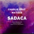 Charlie Spot, Matizze
