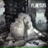 Flattus
