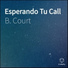 B. Court