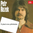 Petr Rezek