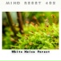 Mind Reset 432
