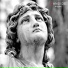 Candide