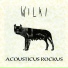 Wilki