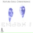 Nature Soul Cybertronic