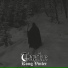 Taake
