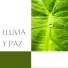 Sol De Día