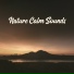 Relaxing Music