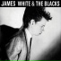 James White And The Blacks