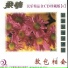 FOLK MUSIC OF THE CHINESE 2005