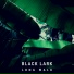 Black Lark