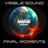 Visible Sound