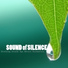 Serenity Spa Music Relaxation