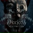 Hocico