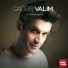 Gabriel Valim
