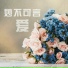 郑颖