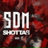 SDM