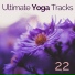 Yoga Class Records