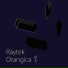 Raytek