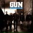 Gun